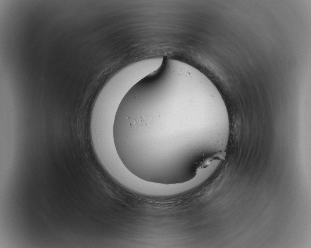 X0000096150407200802151358