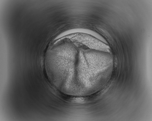 X0000096150409200802151358