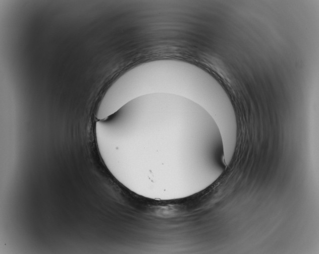 X0000096150411200802151358