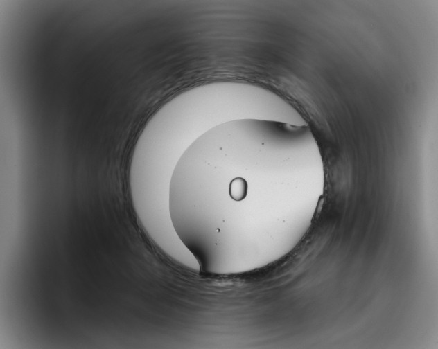 X0000096150415200802151358