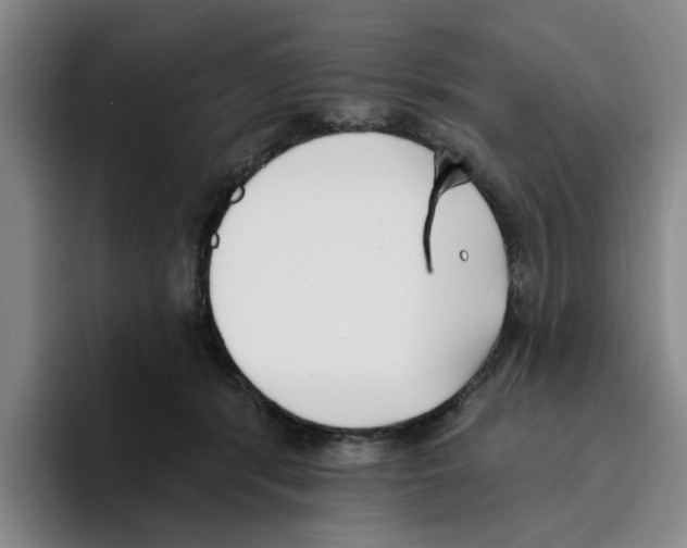 X0000096150416200802151358