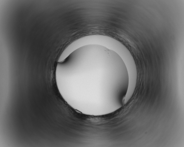 X0000096150417200802151358