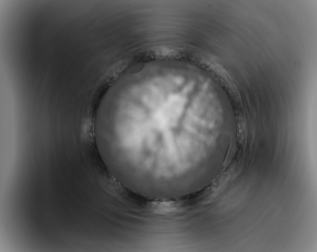 X0000096150419200802151358