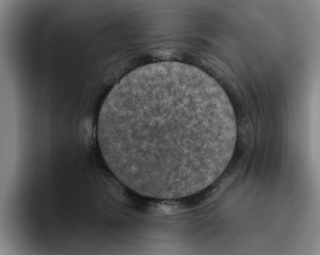 X0000096150420200802151358