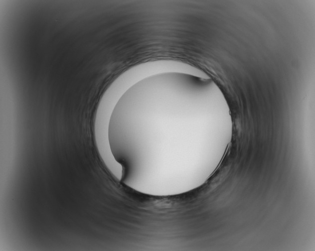 X0000096150423200802151358