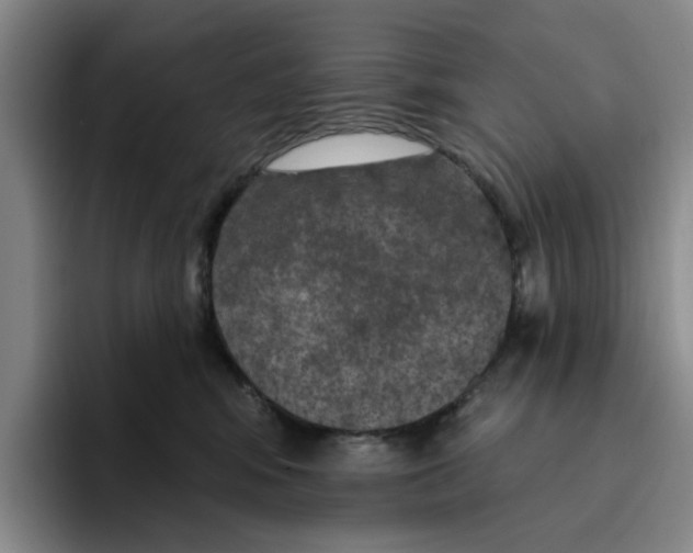 X0000096150424200802151358