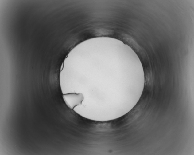 X0000096150426200802151358