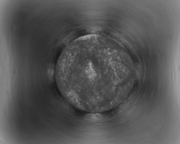 X0000096150427200802151358