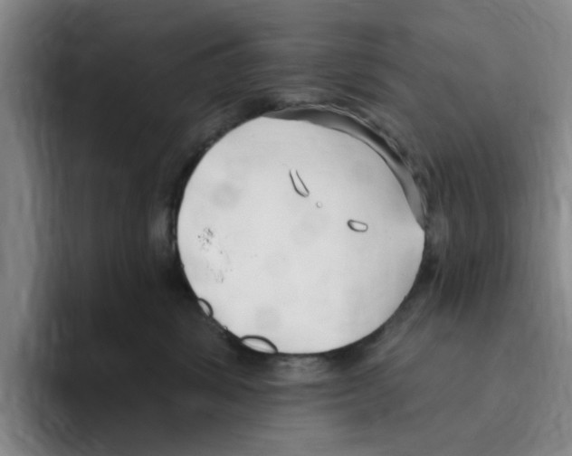 X0000096150428200802151358