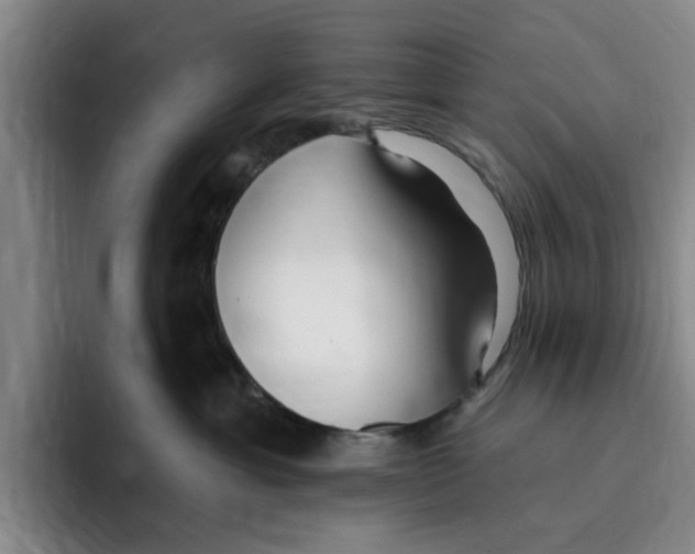 X0000096150429200802151358