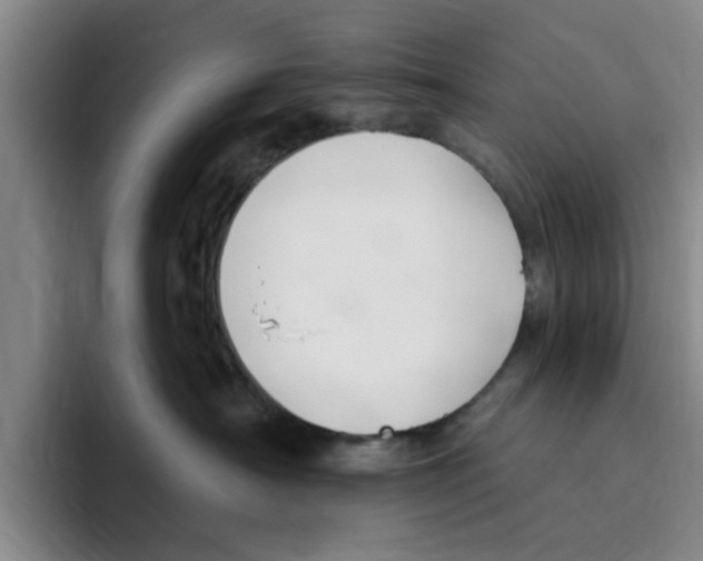 X0000096150430200802151358