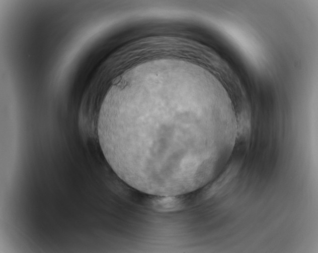 X0000096150431200802151358