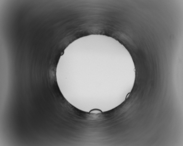 X0000096150432200802151358