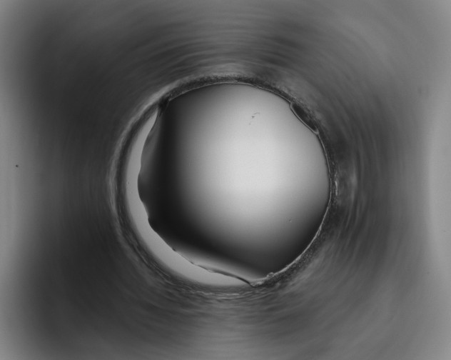 X0000096150436200802151357