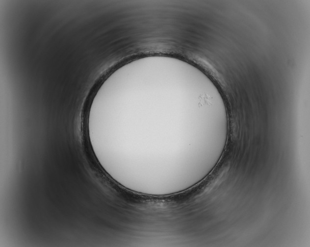 X0000096150439200802151357