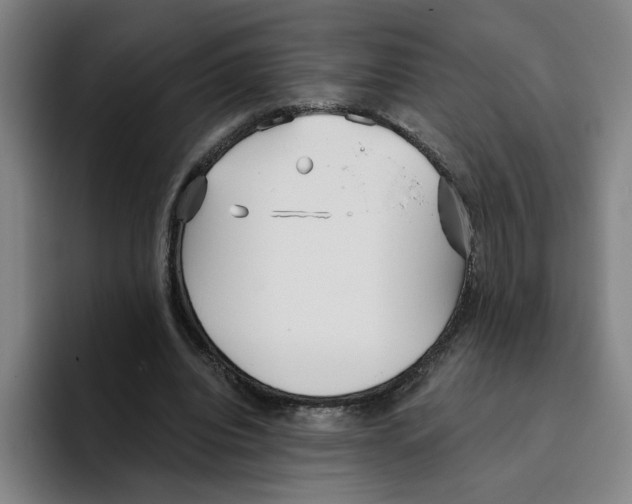 X0000096150440200802151357