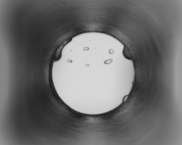 X0000096150442200802151357