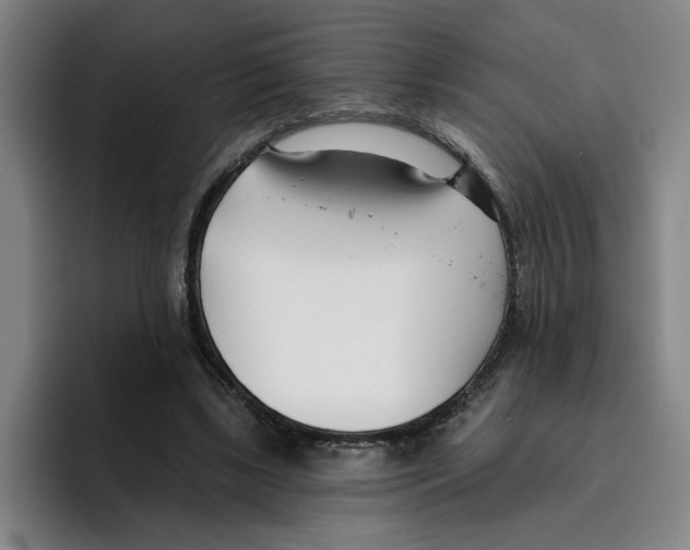 X0000096150443200802151357