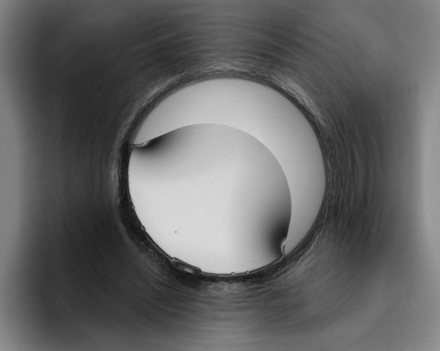 X0000096150444200802151357