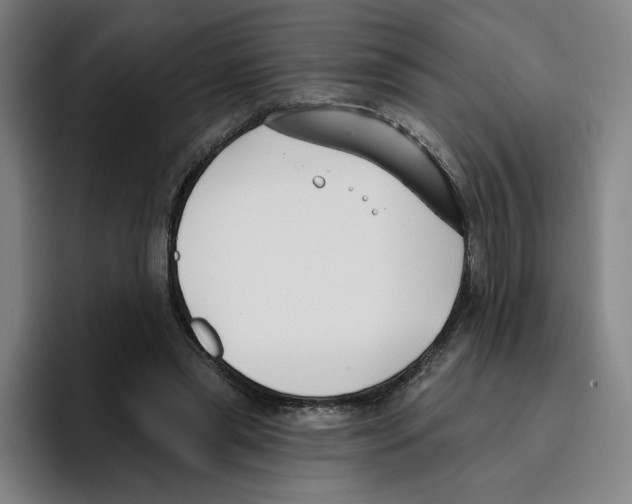 X0000096150445200802151357