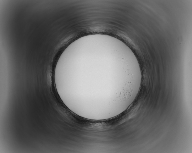 X0000096150446200802151358