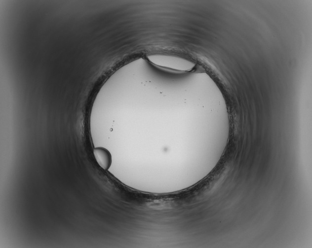 X0000096150447200802151358