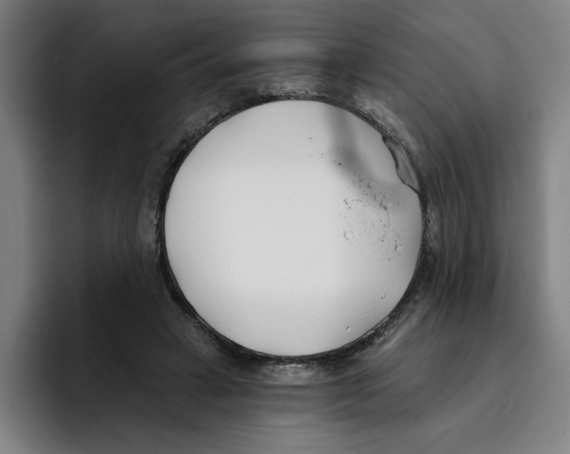 X0000096150449200802151358