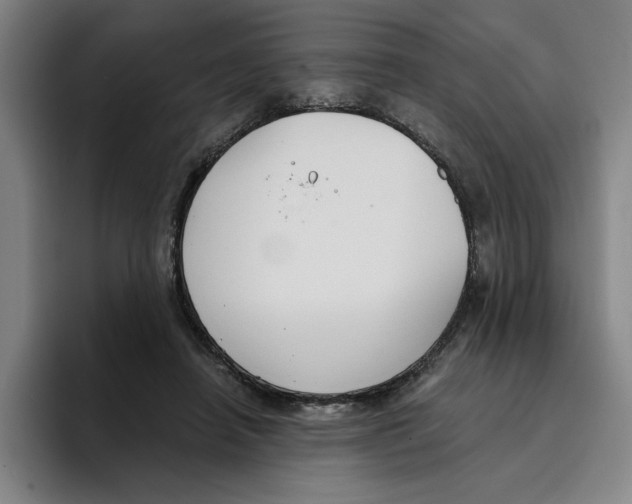 X0000096150450200802151358