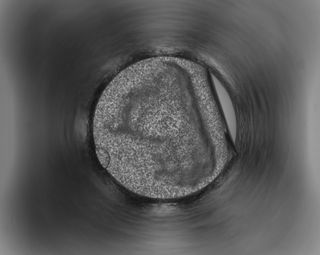 X0000096150451200802151358