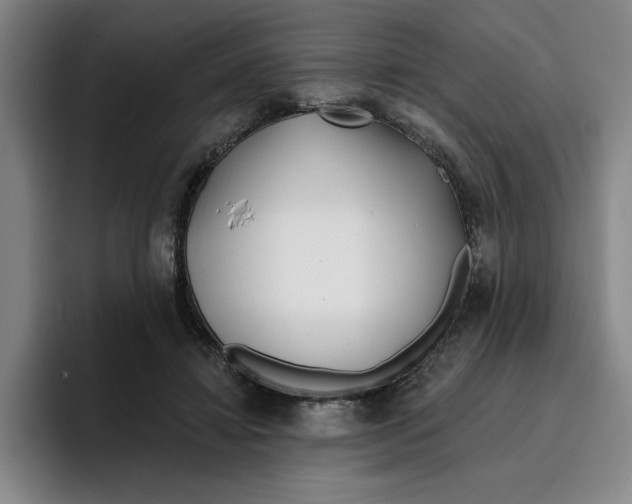 X0000096150452200802151358