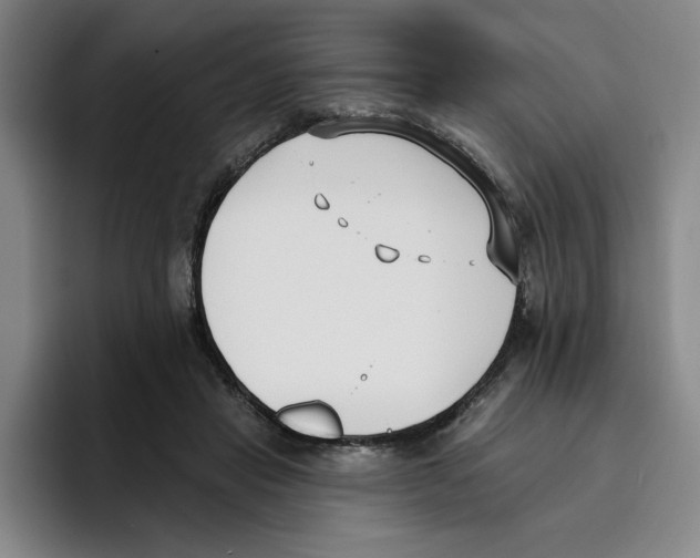 X0000096150453200802151358