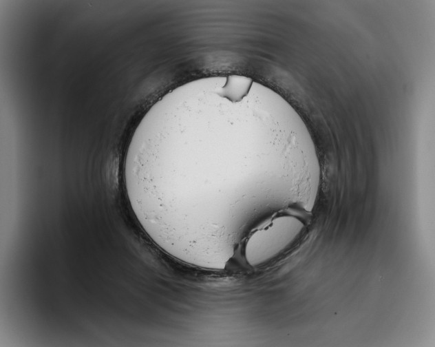 X0000096150454200802151358