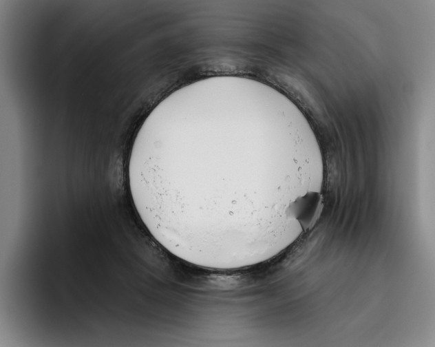 X0000096150457200802151358