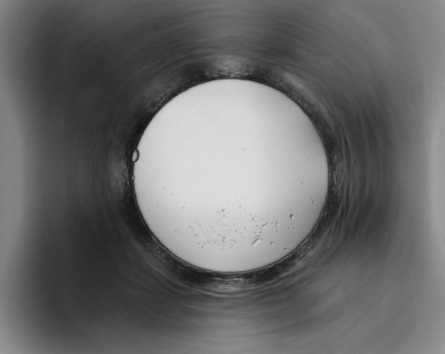 X0000096150459200802151358