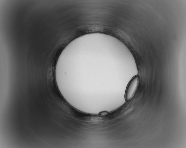 X0000096150462200802151358