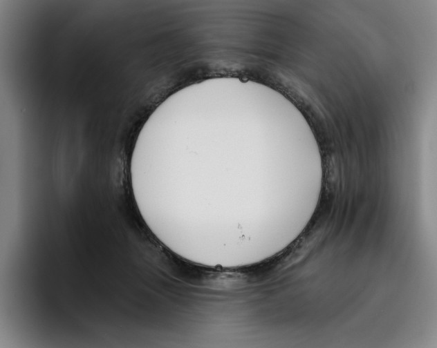 X0000096150463200802151358