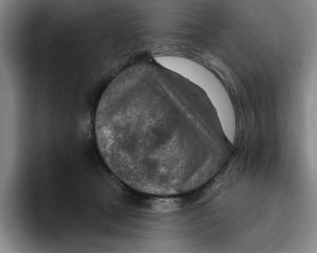 X0000096150465200802151358