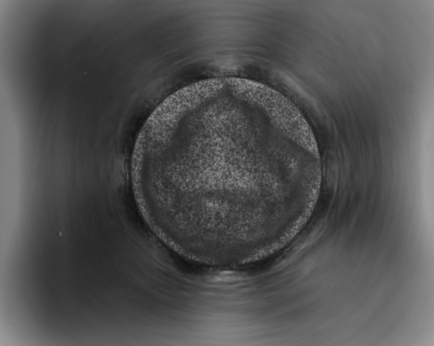 X0000096150467200802151358