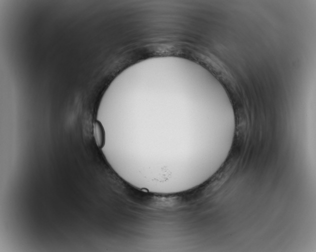 X0000096150469200802151358