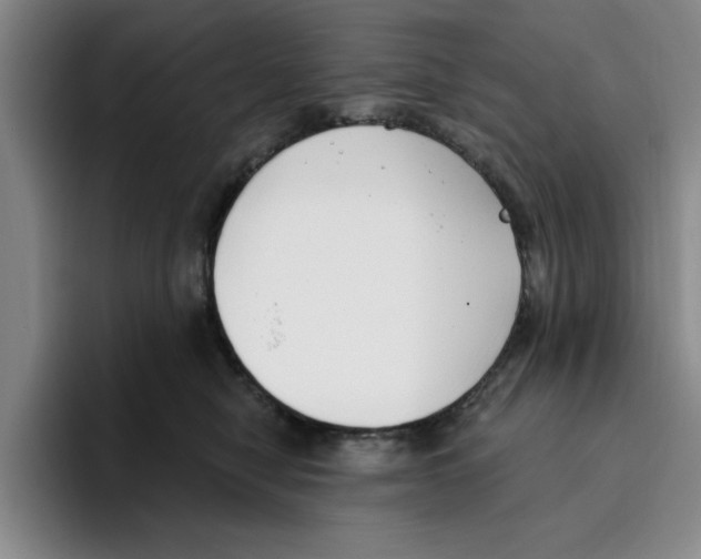 X0000096150470200802151358