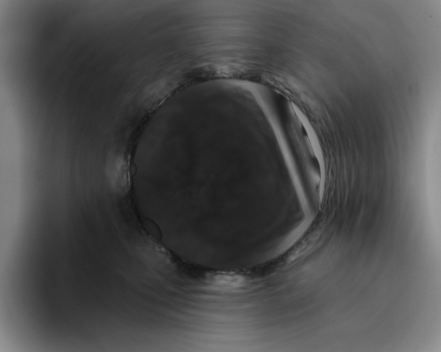 X0000096150471200802151358