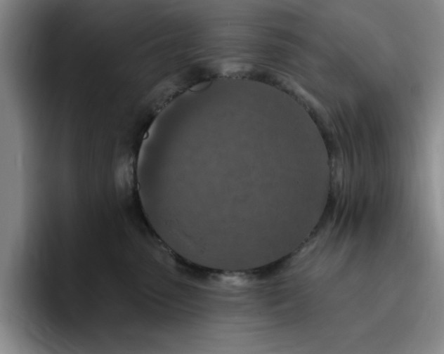 X0000096150475200802151358