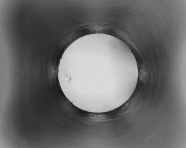 X0000096150476200802151358