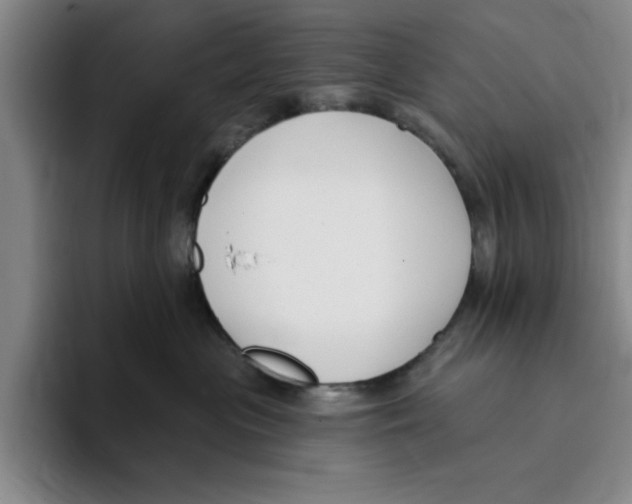 X0000096150477200802151358