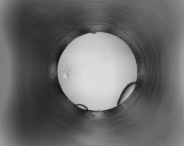 X0000096150478200802151358