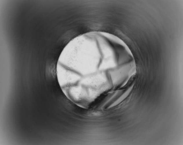 X0000096150479200802151358