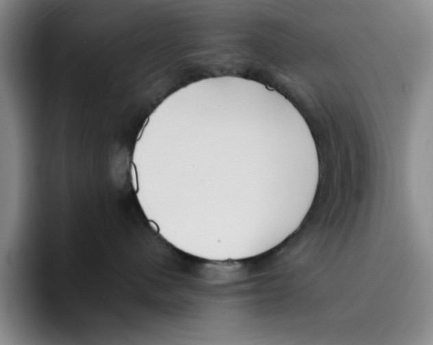 X0000096150480200802151358