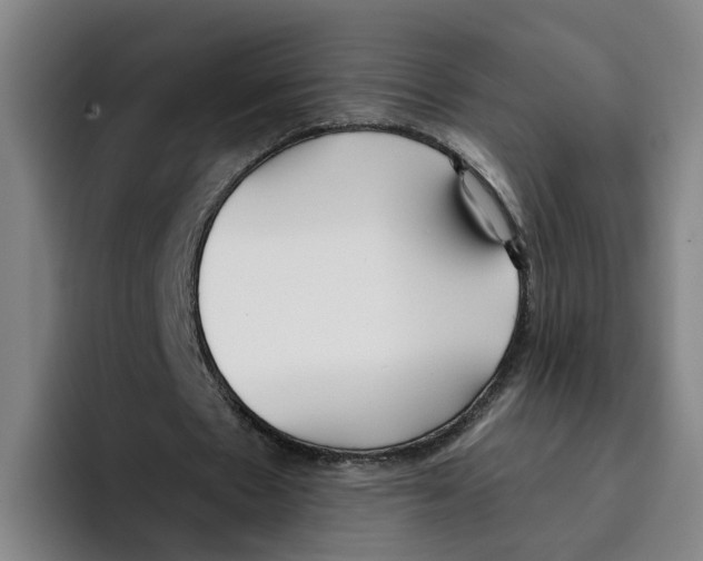 X0000096150481200802151357