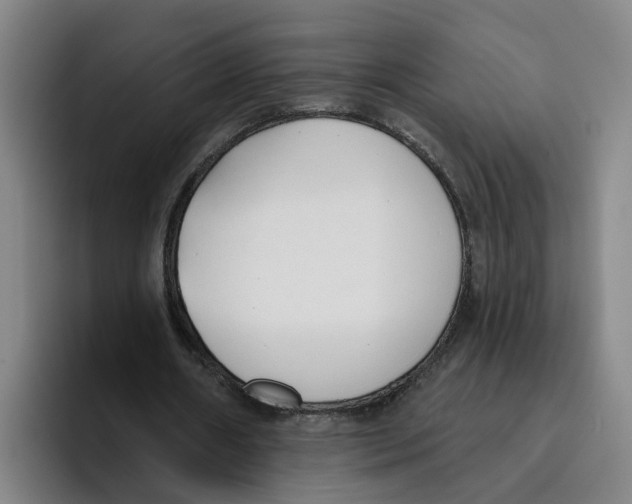 X0000096150482200802151357