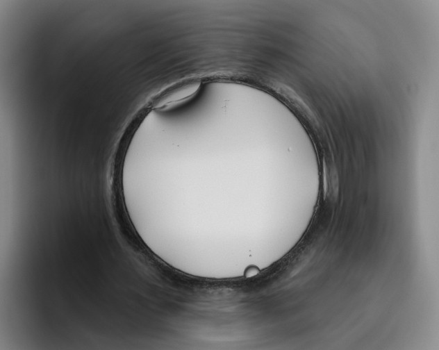 X0000096150483200802151357